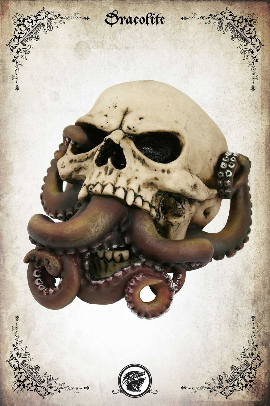 Crâne Octopus