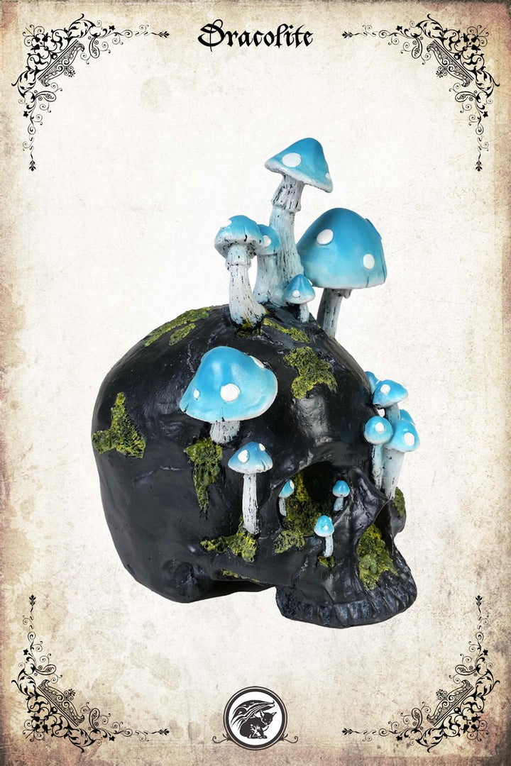 Mushroom Skull