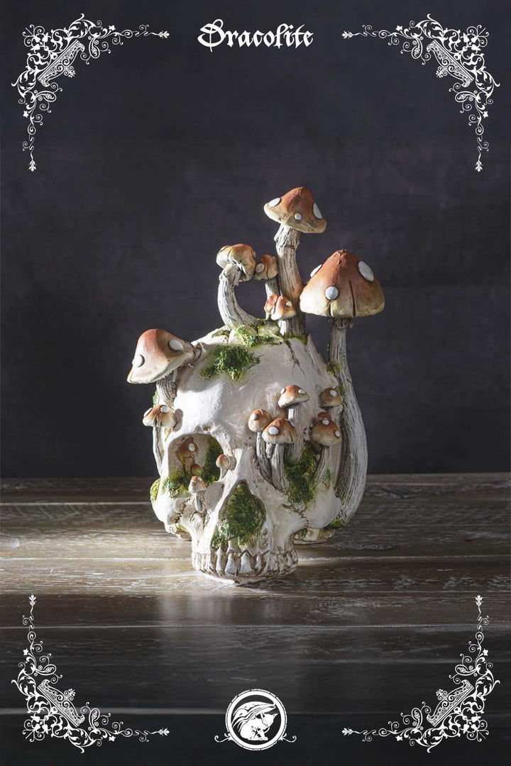 Crâne Champignons