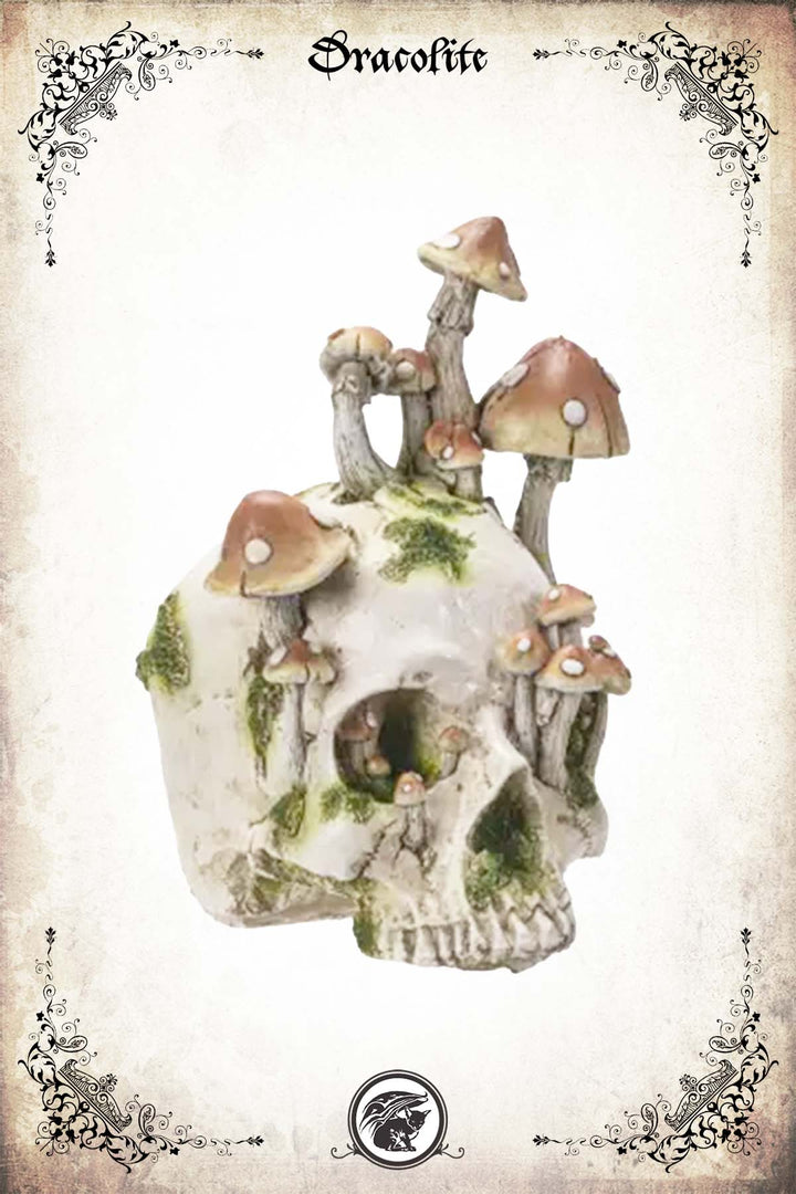 Crâne Champignons