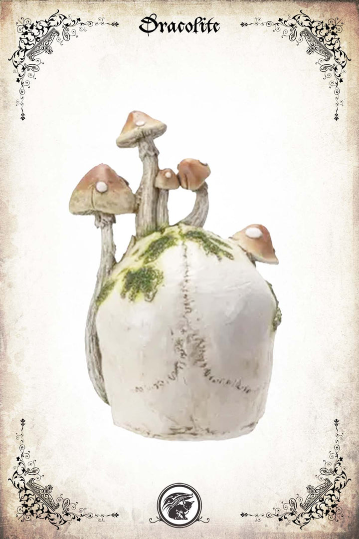 Crâne Champignons