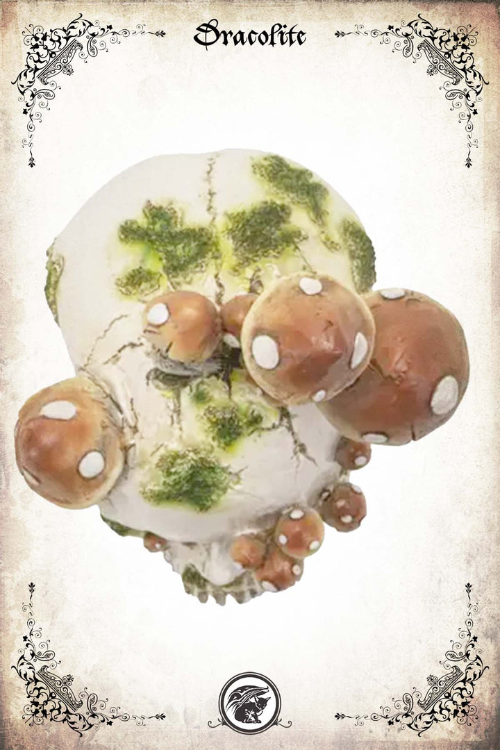 Crâne Champignons