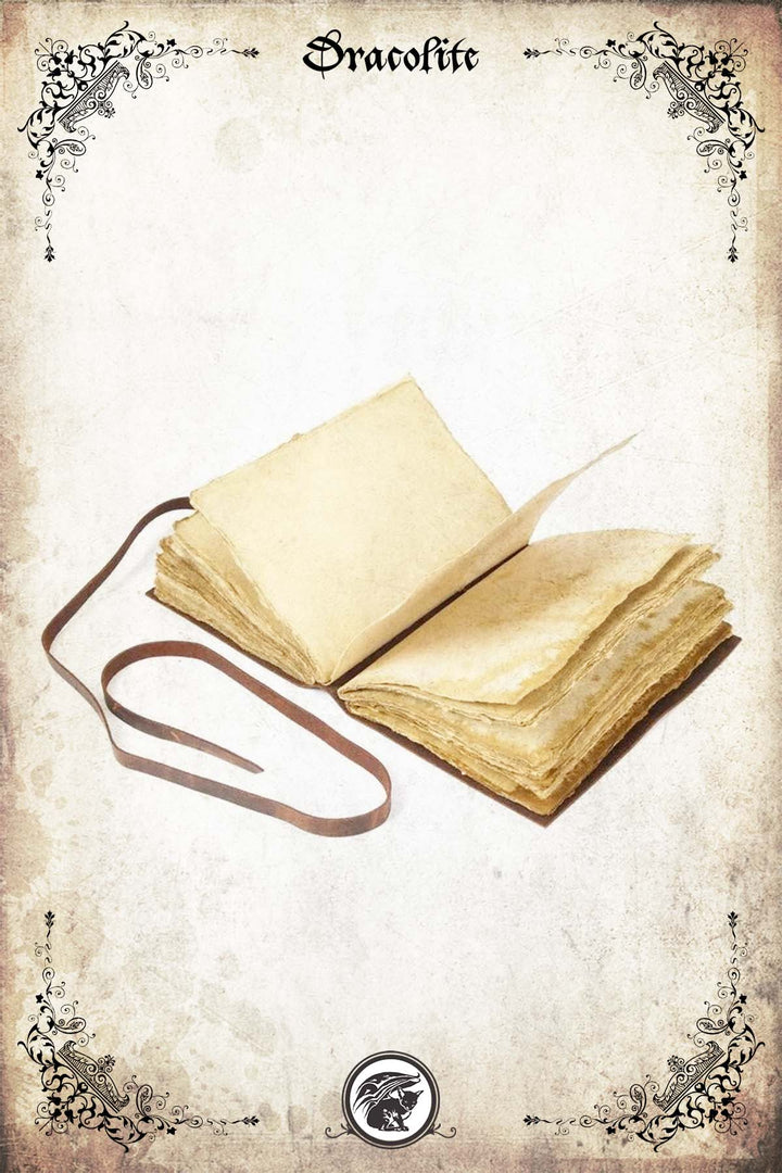 Journal en Cuir - Ancien