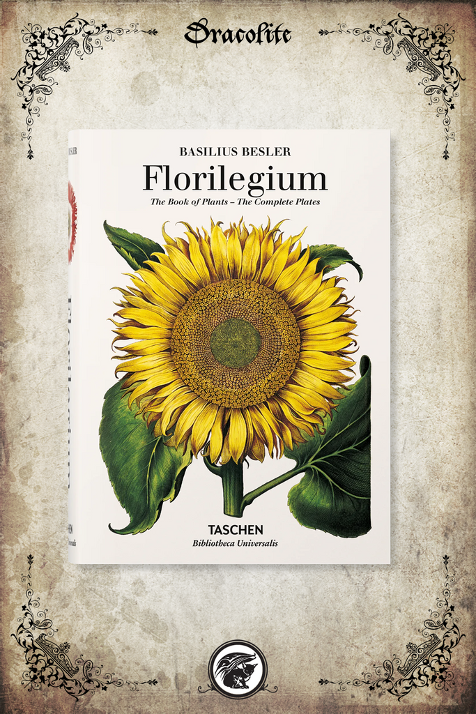 Florilegium, the book of plants - Basilius Besler – Dracolite